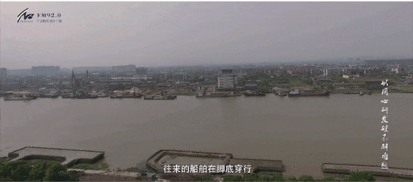 1587948444926903.jpg 1x.jpg